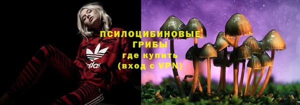 трава Армянск