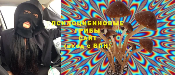 трава Армянск
